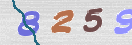 Code Anti-spam